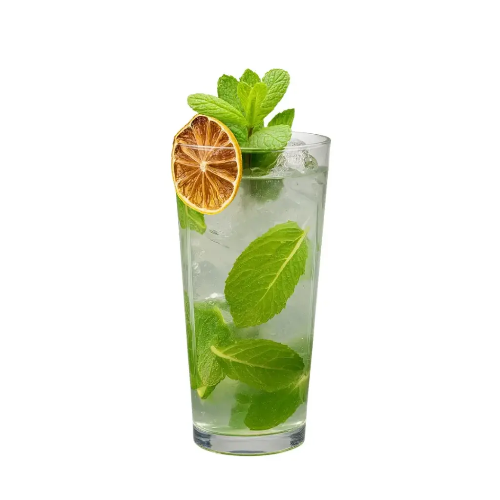 Virgin Mojito